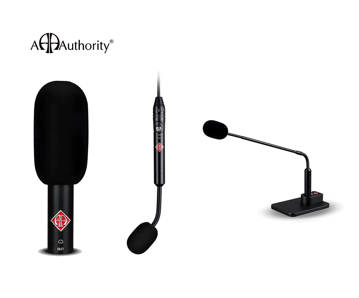 BM1-Small Diaphragm Capacitor Microphone