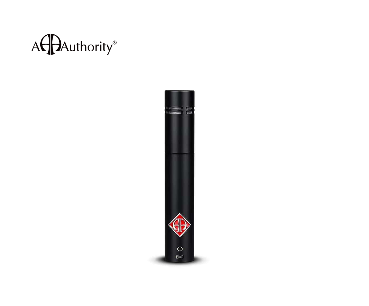 _BM1_Small Diaphragm Capacitor Microphone_1
