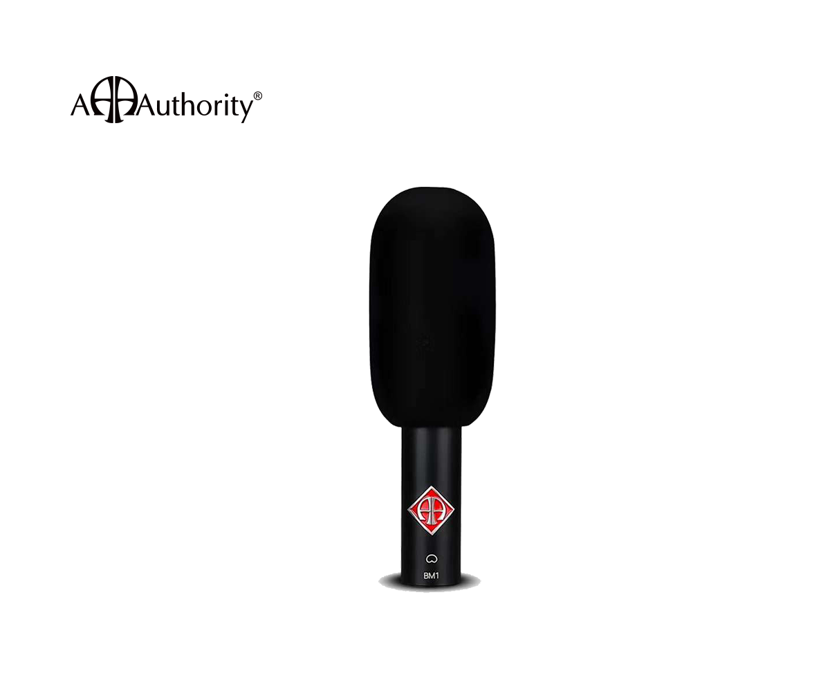 _BM1_Small Diaphragm Capacitor Microphone_0