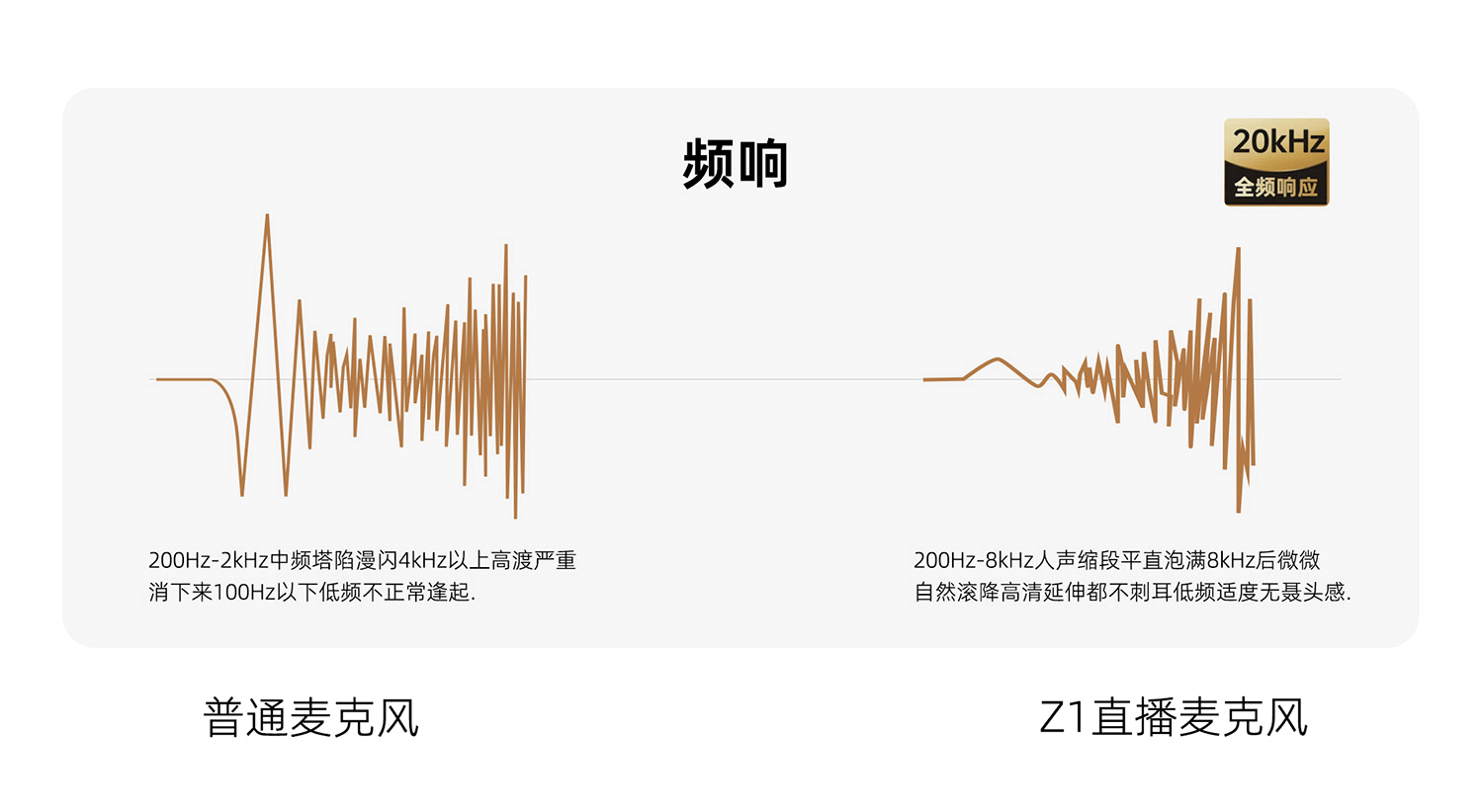 Z1详情大动态